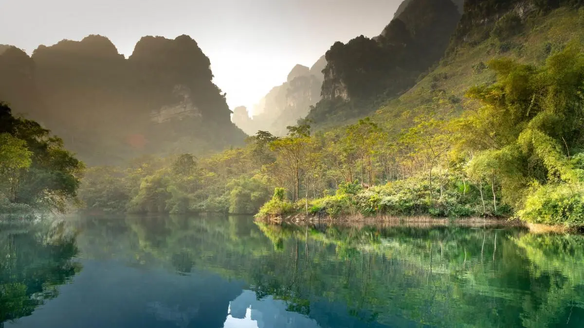 智能系统精密绿色
